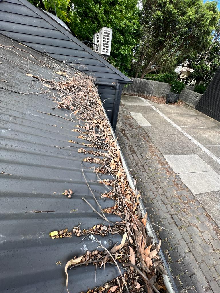 deck and backyard pressure washing in south yarra