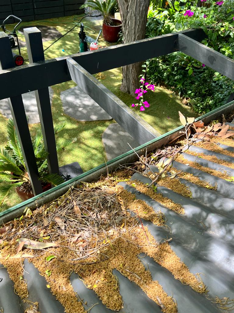 deck and backyard pressure washing in south yarra